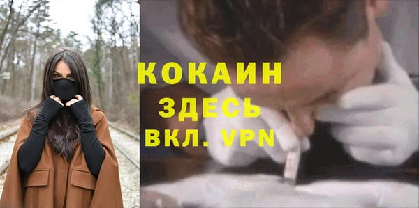 дмт Нязепетровск