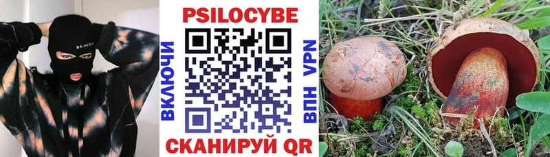 Галлюциногенные грибы MAGIC MUSHROOMS  Прокопьевск 
