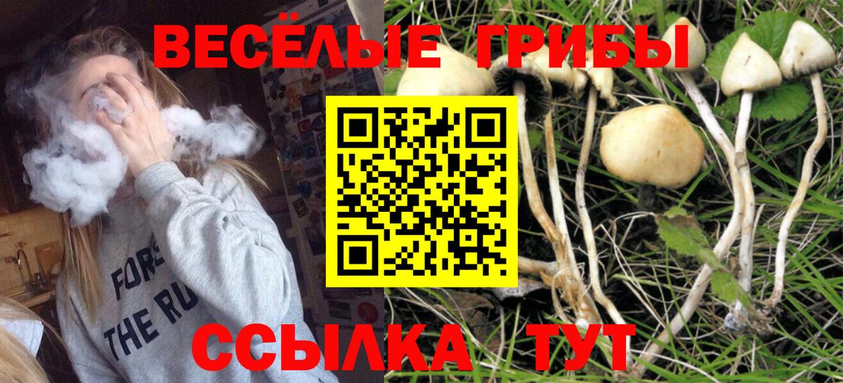 Alpha PVP СК   ГАШ  Вход с VPN  Cocaine  Гашиш  Мефедрон  Прокопьевск  Мефедрон  