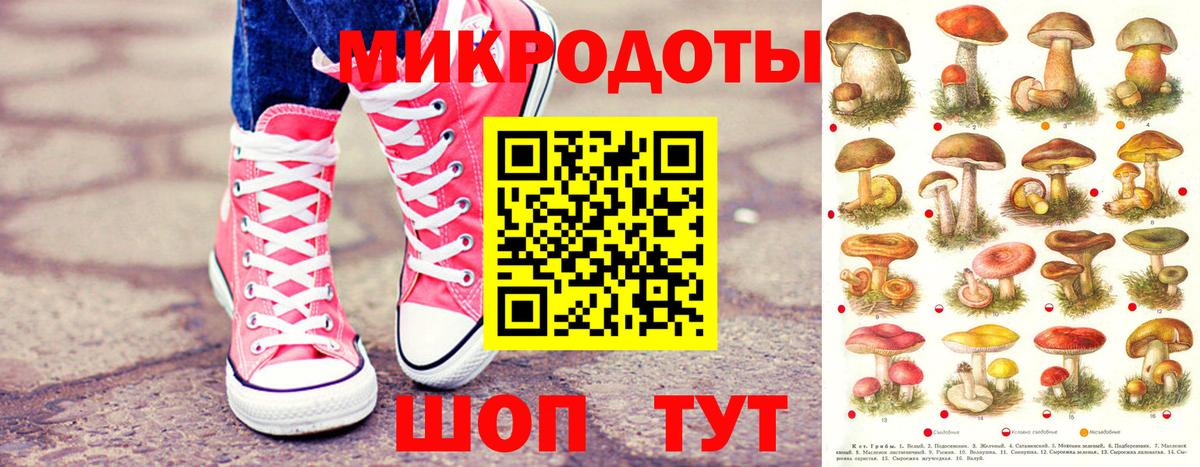 Прокопьевск  Галлюциногенные грибы GOLDEN TEACHER  где продают наркотики  Вход с VPN 