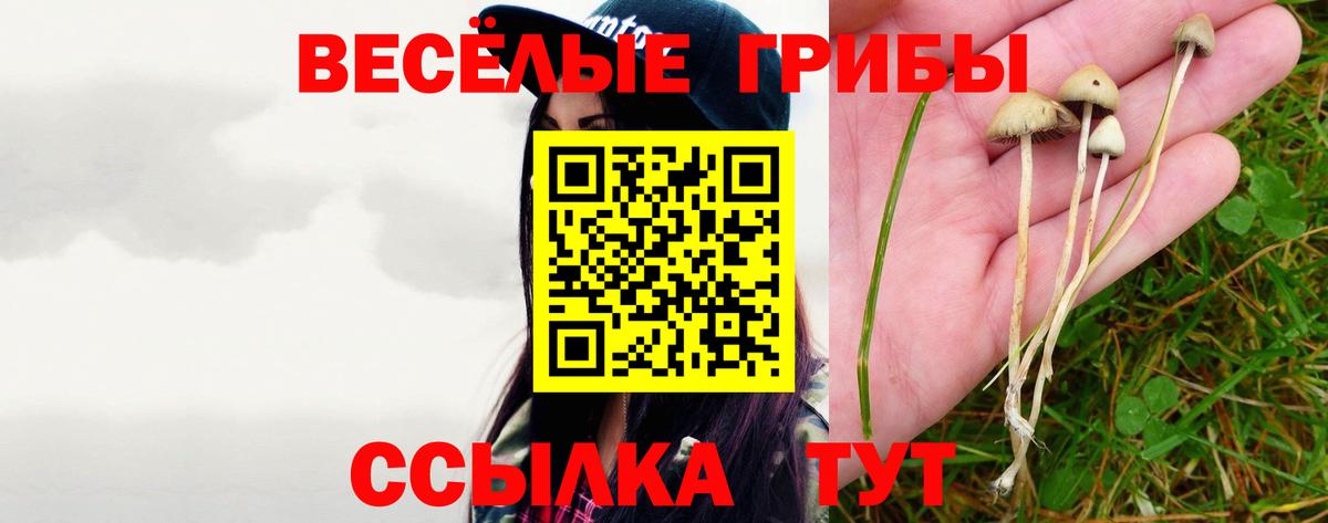 Псилоцибиновые грибы Psilocybine cubensis Прокопьевск